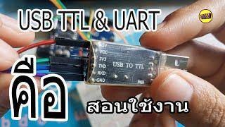 USB TTL UART คืออะไร สอนใช้งาน (NTW Production)