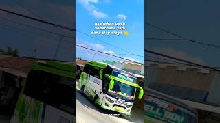 Berkah Abadi Bus Pariwisata. #busmania #buspariwisata #pecintabis #cinematic @CCTVBUSJATENG