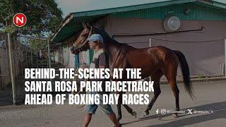 Behind-the-scenes at the Santa Rosa Park Racetrack ahead of Boxing Day races