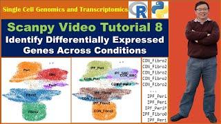 Scanpy Video Tutorial 8: Identify Differentially Expressed Genes Across Conditions