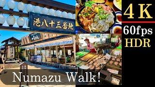 【4K】 Numazu! The famous Japanese Fisher Port! One hour trip from Tokyo by Shinkansen! Vol. 36