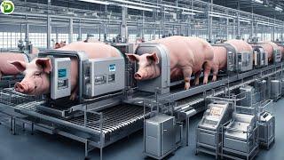 Pig Slaughterhouse - Modern Pig Processing Machine Using Advanced Technology - Farming Documentary