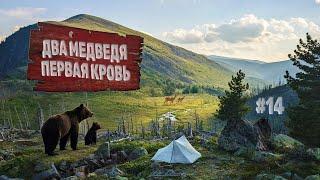 Два МЕДВЕДЯ. Первая КРОВЬ. Подхожу к ХАНУЛЕ с запада. 200 км по Хамар-Дабану. Серия 14