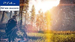 HDR test Horizon zero dawn PS4 settings adjusted in game