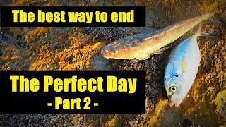 FLATHEAD & TREVALLY FISHING - How to with soft plastic lures - South Australia