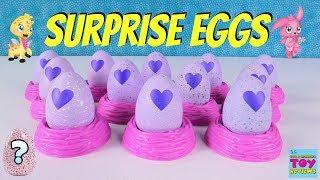 Hatching Hatchimals CollEGGtibles Surprise Egg Palooza Limited Edition Toy Review | PSToyReviews