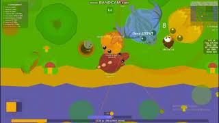 using mope.io mods