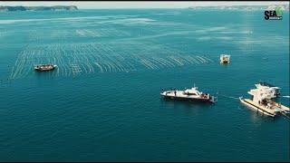 Inauguration of the world's first 1 square kilometer mechanized tropical seaweed farm