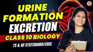 URINE FORMATION | Excretion | Class 10 Biology|TS & AP Stateboard/CBSE