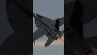 F-18 Hornet #dcsworld #pc #shorts #4k #f18 #youtubeshorts #aviation #gaming #pcgaming #8k #100 #1k