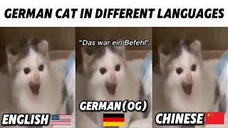 German Cat Meme But in Different Languages