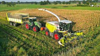 Mais Silage 2024 | Claas Jaguar 940 + Fendt 939 | Van Spijkeren