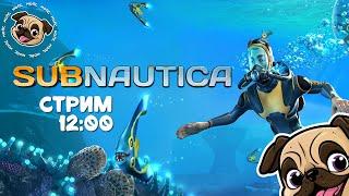 Впервые играем в Subnautica #игры #мопс #mopsickplay