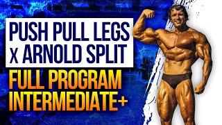 Push Pull Legs x Arnold Split | 6 Day Muscle-Building Program