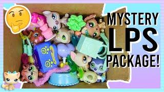 Mystery LPS Package Unboxing (125+ Accessories Inside!)