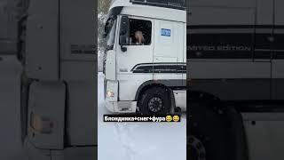 Блондинка за рулём в снегопад  #дальнобой #дальнобойщики #truck #daf #прикол