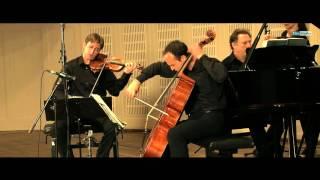 Brahms, Piano Trio No. 1, in B-Major, Op. 8 (rev. vers. 1889) 1st movement - VIENNA PIANO TRIO