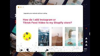 Social Widget | How do I add Instagram or Tiktok Feed Video to my Shopify store?