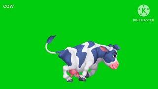 green screen animal stamped pet animal random race competition #animals #greenscreen