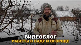 ВИДЕОБЛОГ: РАБОТЫ В САДУ И ОГОРОДЕ. Заготавливаю черенки, ищу вредителей на смородине и др. работы.