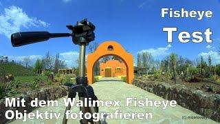 fotoseminar.at - Walimex Fisheye Objektiv im Test - Harald Mizerovsky erklärt Fotografie