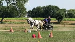 Diane Katsama - Cones in Netherlands