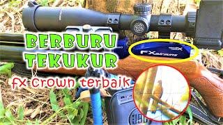 BERBURU TEKUKUR DENGAN SENAPAN ANGIN FX CROWN