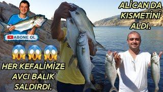 ÇEVLİKTE BİR GÜN - Yanımda Kimi Götürsem Balık Tutuyor. #part2 #alicanınkısmeti #çevlikoltacısı