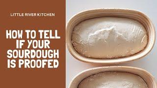 How to tell if your sourdough is proofed