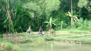 1 day fishing in the Indonesian Rural Nature