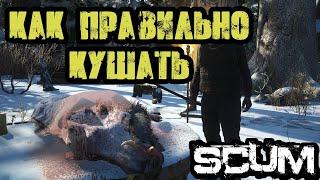 SCUM | ЧТО И КАК КУШАТЬ В О,7 ПАТЧЕ, ЧТО БЫ НЕ ГОЛОДАТЬ!!!