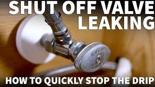 Leaking Shut Off Valve Under Sink - Faucet Valve Leaking - How to Fix a Leaky Shut Off Valve Quickly