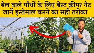 Creeper Net for climbing plants in Hindi | Plant Climbing Net & Creeper Support for Home Gardening