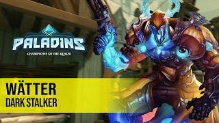 wätter ANDROXUS PALADINS PRO COMPETITIVE GAMEPLAY l DARK STALKER