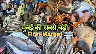 मुंबई का सबसे सस्ता Fish Market 2023 | Cst Fish Market | Biggest Wholesale Fish Market Mumbai