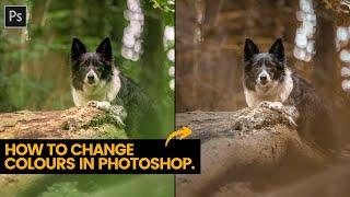 How to change colours in Photoshop - Change summer to fall in a few clicks!