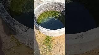 The well water drains out on its own Please help subscript  # Water #subscribers