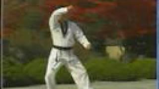 17. Taekwondo Poomsae Ilyo (WTF)