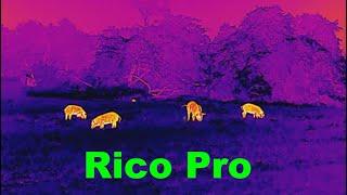 Rico Pro Review Infiray Outdoor/ IrayUSA