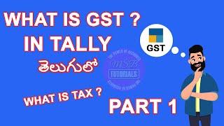 What Is GST ? | Tally | GST PART 1