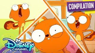 Kiff Music Videos | So Chunky, The Scarm Song, Got Character & MORE | Compilation | @disneychannel