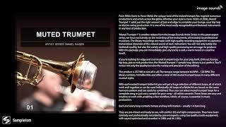 Muted Trumpet // Sample Pack // Loops // Image Sounds