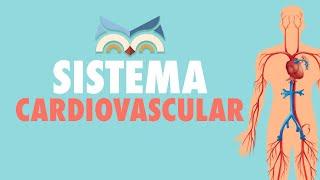 Sistema Cardiovascular - Toda Matéria