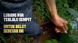 Mancing belut besar paling menegangkan..Di lubang penuh bebatuan-Rnc petualang