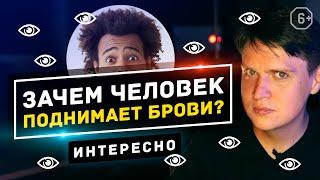 Зачем человек поднимает брови? И причём тут юмор? 6+