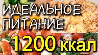 ПРИМЕР ПИТАНИЯ на 1200 ккал в день / Что есть / МОТИВАЦИЯ НА ПОХУДЕНИЕ система питания / разбор КБЖУ