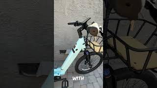 The Ultimate Electric Cargo Bike - Velotric Packer 1