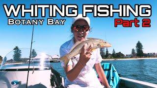 Botany Bay Whiting Fishing - Part 2