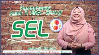 Kelas 11 SMA - Biologi - Sel - Bimbel Tridaya Online