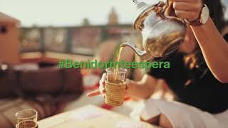 #BenidormTeEspera